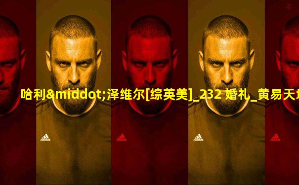 哈利·泽维尔[综英美]_232 婚礼_黄易天地